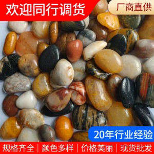 五彩拋光鵝卵石 廠家批發(fā)園林鋪路彩色高拋雨花石魚缸造景小石頭