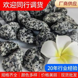 黑白點石子芝麻灰水磨黑白花石子芝麻白枯山水造景白麻石子鵝卵石