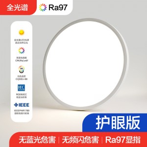 超薄現(xiàn)代簡約樓道2CM圓形吸頂燈全光譜護眼臥室書房客廳led吸頂燈