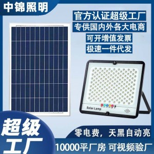 新款滿天星太陽能投光燈 led光控防水路燈定時照明戶外庭 院燈批發(fā)
