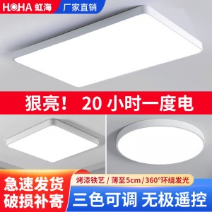 LED吸頂燈現(xiàn)代簡(jiǎn)約長(zhǎng)方形客廳臥室燈書房創(chuàng)意鐵藝藝術(shù)燈 飾燈具